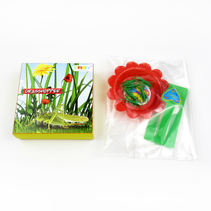 Grasshopper Game